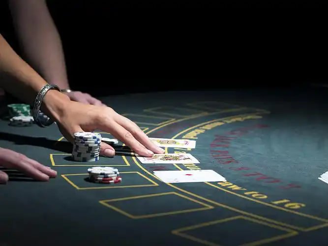 Màn hình cá cược live casino và slot online tại keo chinh Việt Nam