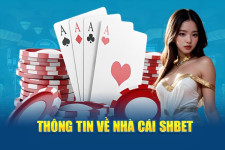 SHBET: Nền Tảng Cá Cược Trực Tuyến Uy Tín, Trải Nghiệm Đẳng Cấp Cho Người Chơi